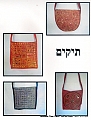 תיק שאנטי